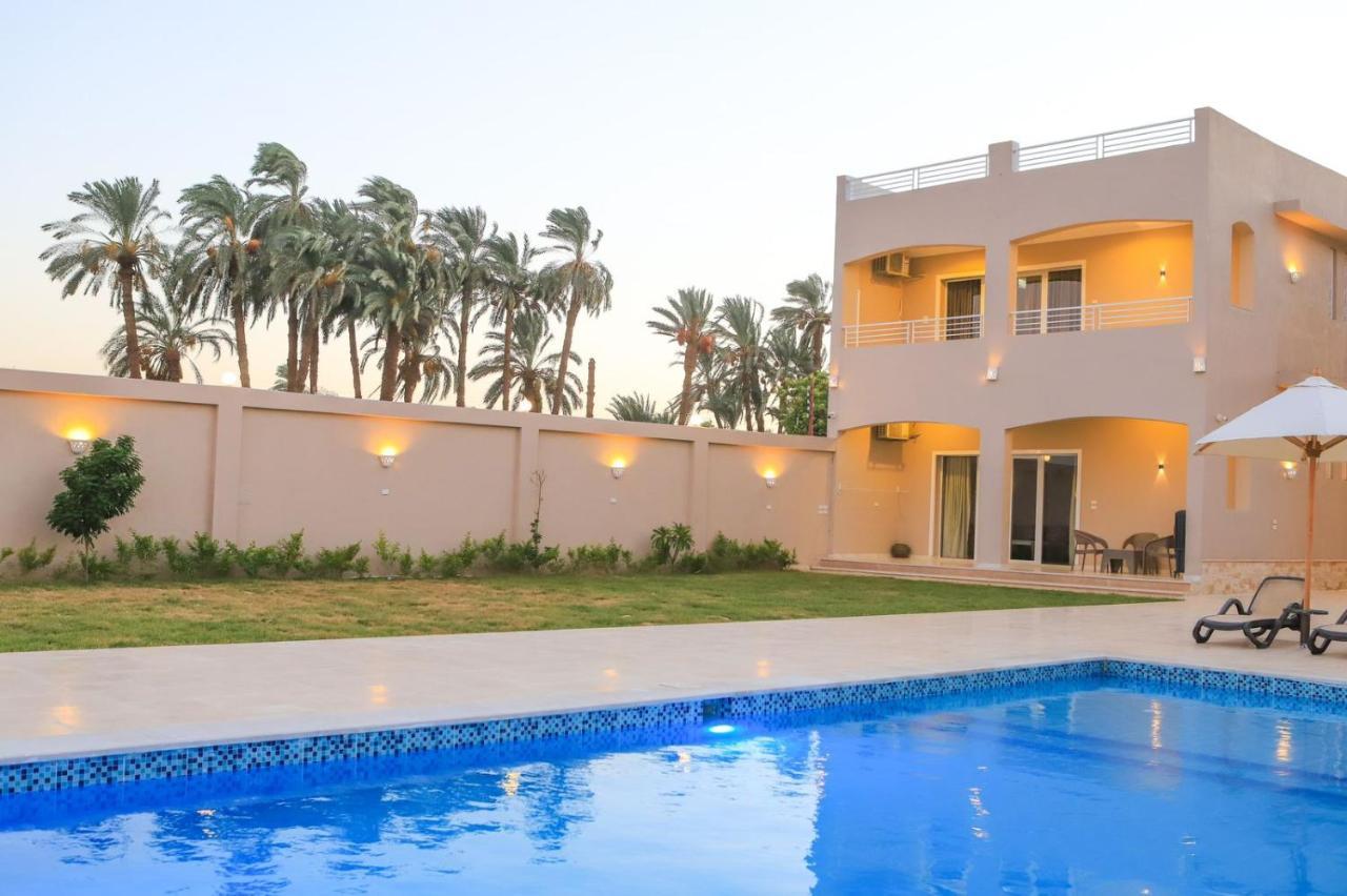 Royal Nile Villas - Pool View Apartment 2 Луксор Экстерьер фото